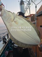 8/4, 생미끼 대광어~ ~싸이즈 좋아요~~대광어, 농어, 우럭 다잡아 조황~내일도 갑니다~~ 군산 범고래호