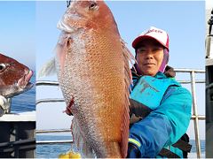백/쭈/갑조황 - 26년8월2일 홍원항 백두산호 백조기 조황입니다.. - 홍원항 백두산호,배낚시,바다낚시