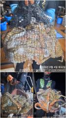 ♡어비스호~ 3일 야간문어 15인조사님들과 함께~♡