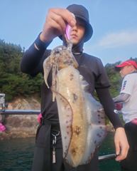 내일 5일(수) 문어낚시 출조확정ㆍ무늬오징어 캐스팅ㆍ팁런 모집중