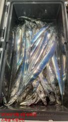 8월4일입항 갈치지깅.텐빈.외줄 다녀왔습니다