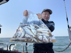 [백조기] 피싱매니아 2026년8월3일 백조기 수조기 조황