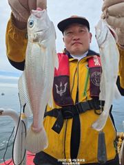 물잘가는 사리물때!! 대왕백조기나갑니다(5만원)10일(월)부터13일(목)까지