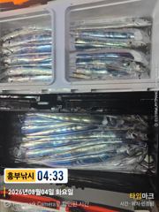 8월4일 흥부 갈치 모닝 브리핑 수욜 낼 까지 출조