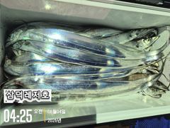 [갈치]3~4지 쿨러만땅,반땅(화요일,출항확정)