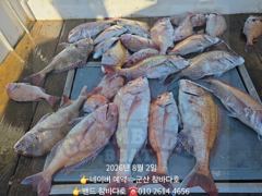 6일 야간고등어& 8일9일 참돔 출조 모집합니다.