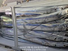 녹동금강호16석 3일갈치조항.예약순자리지정예약제 자리별차등요금제 010-4058-2266