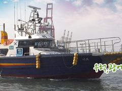 히트호 조황 - 8월 2일 조황 - 새벽낚시 히트호