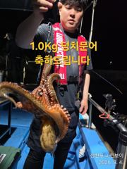 삼천포 마린보이 8. 4. 화요일 덩치 야간문어 뜯고 왔습니다.