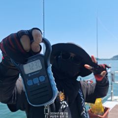 8월2일 팔포1호 키로오바 5수 포획성공하고 마무리합니다 ((돌문어사냥은 계속 이어집니다))