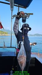 5일 실시간 굵직한 kg오버 돌문어 2수로 시작합니다