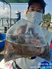 점점더 좋아지는 녹동돌문어 ~
