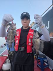 덕적호 우럭 조황입니다!