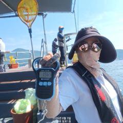 8월3일 팔포1호 왕대가리 돌문어 1.96kg 포획성공하고 마무리합니다 ((돌문어사냥은 계속 이어집니다)(