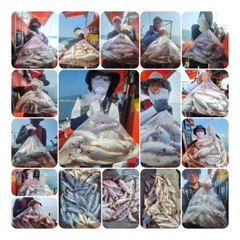 조황정보 - 8윌4일짱구투호 백조기 조황 - 영흥도 짱구낚시