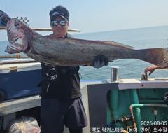 [민어·농어생미끼] 8월 5일  격포럭키스타 싸이즈 굳 이네요