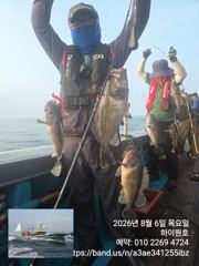 8/6일, 먼침선, 빵빵한 개우럭,~쌍걸이등~싸이즈 굿~실시간~ 생미끼 8월 한달 평일 선비 이벤트 선비 8월 평일(8만원)~오늘도 고등어,삼치,갈치 갑니다~강추~군산 하이원호