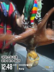 돌문어 야간조황 ~ 시원하게 다녀왔습니다~