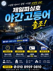⭐군산제일피싱호 야간고등어 출항⭐낼부터여유자리