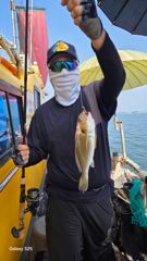 지렁이 맛나보이게 자알 끼우시고 기다리시면 후두둑~!! 백조기배낚시