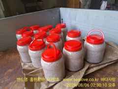 서천 지역 특산품 자하 젖갈이 시기 입니다.