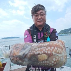 8월4일 팔포1호 대왕돌문어 2.12kg 포획성공하고 마무리합니다 ((돌문어사냥은 계속 이어집니다))