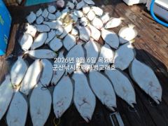 8/6, 쏟아지는 대광어~ 오늘도 대박~ "생미끼, 민어,농어,광어 8월 평일, 선비 빅이벤트(선비8만)"~내일도 갑니다~~ 군산 범고래호