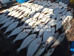 8/7, 생미끼~날마다~쏟아지는 대광어~~연일 초대박~~ "생미끼, 민어,농어,광어~8월 평일, 선비 빅이벤트(선비8만)"~내일도 갑니다~~ 군산 범고래호