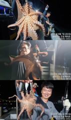 전설해태호>8/7 시원한 밤바람과 돌문어들