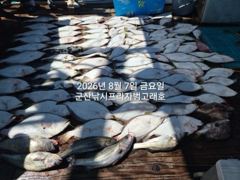 [진해] 준내만 갈치 씨알 최고 최고!! (금,토,일 내만 갈치 예약 …