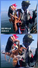 통영] 문어 사량도 굴어장 조황 4일(화), 5일(수) 통영 메티스호