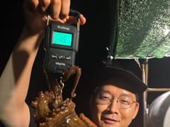 주,야간돌문어굵직한1,5k급외퍽~퍽마릿수굿~굿