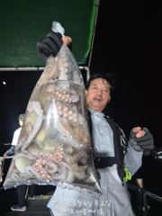오늘의조황 - 삼천포 문어조황! 주간반 , 야간반 매일출조! - 삼천포 더블케이호,배낚시,바다낚시