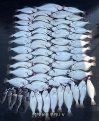 << 팀 인천 루키나 >> 08. 07. 1물 << 전투유선 루키나 V 오슬로39G 이벤트 >>