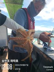2키로외 일당들 내일 몇자리있습니다