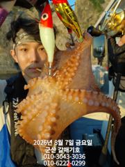 8월7일 금요일 갈매기호 실시간!!!!!