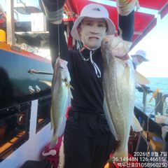26년8월7일 홍원항 백두산호 백조기 조황입니다..