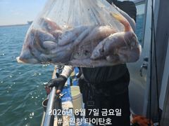[홍원항타이탄호] 8월8일(금) 백조기&부서  굿 조황
