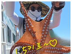 6일(목)1.5K1.3K...등등돌문어조황!!9일(일)자리여유있습니다