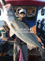 8/8, 생미끼~쏟아지는 대광어~~날마다 대박~실시간~ "민어,농어,광어~8월 평일, 선비 빅이벤트(선비8만)"~내일도 갑니다~~ 군산 범고래호