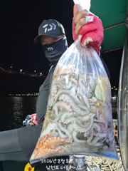 삼천포 문어조황! 주간반, 야간반 매일출조!