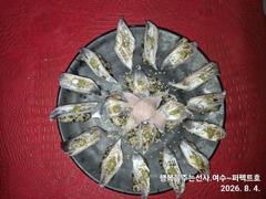 여수 퍼펙트호 갈치외줄 꾸준한 만쿨 조황 철수 할때까지 줄타기