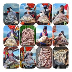 조황정보 - 8윌8일짱구투호백조기 조황 - 영흥도 짱구낚시