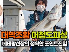 오늘의조황 - 8월 1일 토요일 / 생미끼 조황 - 군산 어청도낚시,배낚시,바다낚시