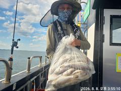 오늘의조황 - 8월7일 백조기낚시^^ - 오천항 성령낚시,성령호