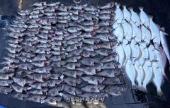 << 팀 인천 루키나 >> 08. 08. 2물 << 루키나 V 반도골 제대로 터졌다 >>
