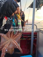 8월8일 군산 홈런호 야간 문어 출조 하였습니다.바람 너울 악조건 속에서도 문어는 나옵니다.실시간 구경 하세요!