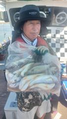 2025년 8월 8일 백조기 조황정보