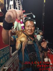 8/8 야간 문어 낚시