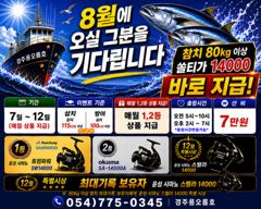 8월8일 오전5시 대삼치 출조합니다.